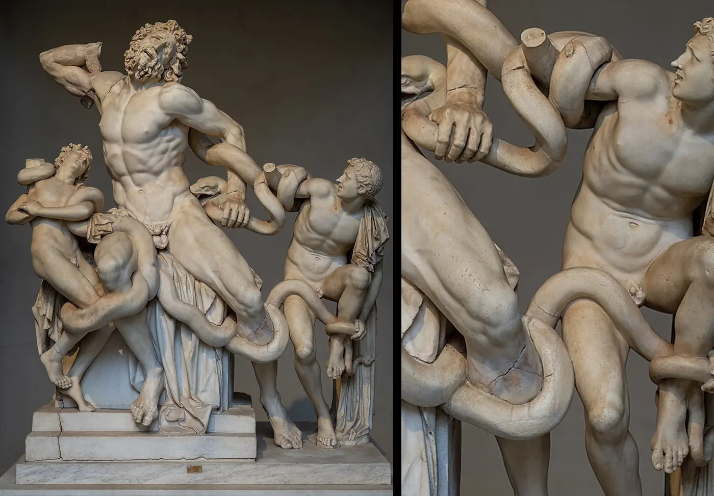 The Laocoön group, with a detail of the serpent coils
